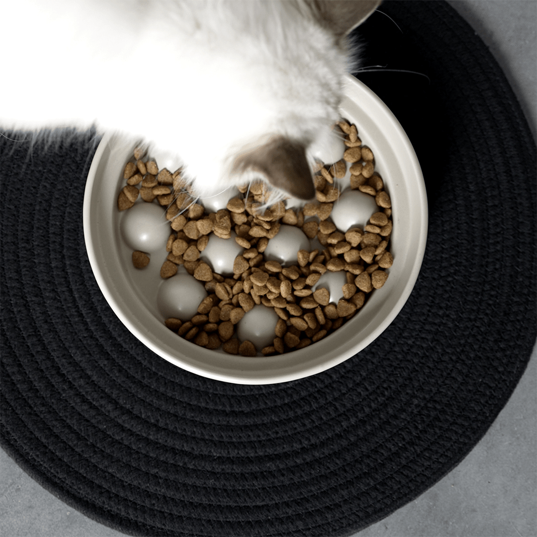 Eten & drinken - Design for pets