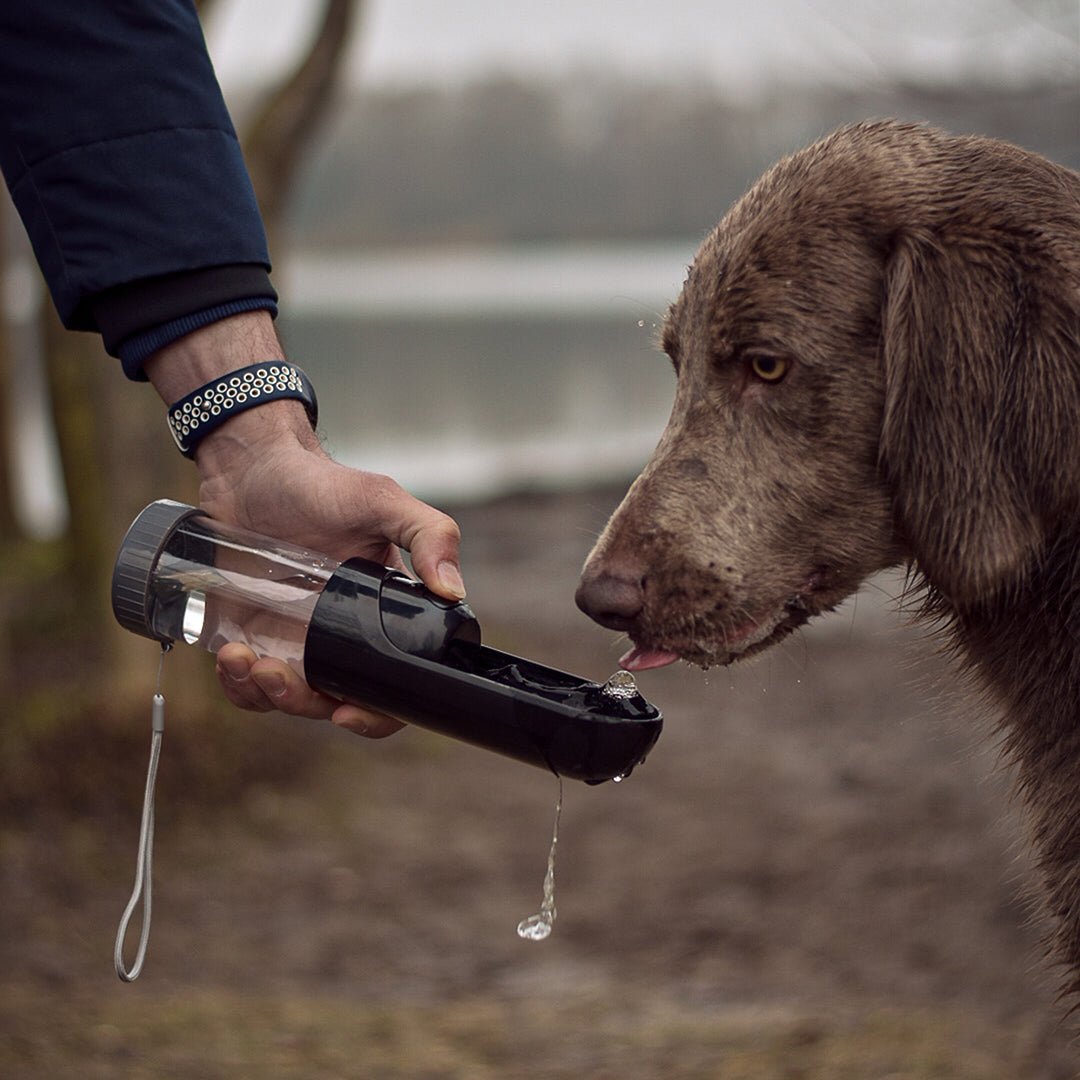 Accessoires voor onderweg - Design for pets
