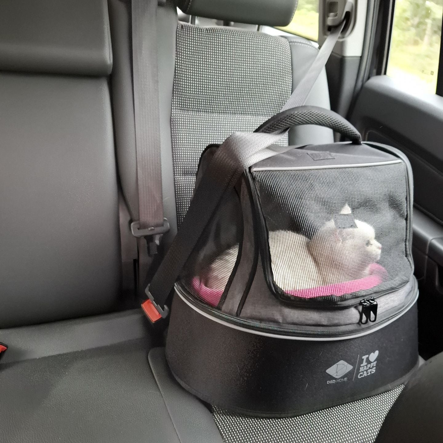 PHOEBE - Transporttas