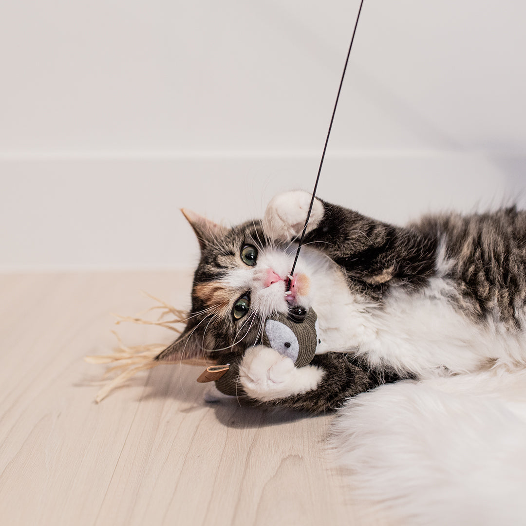 Rocco speelhengel Vosjes