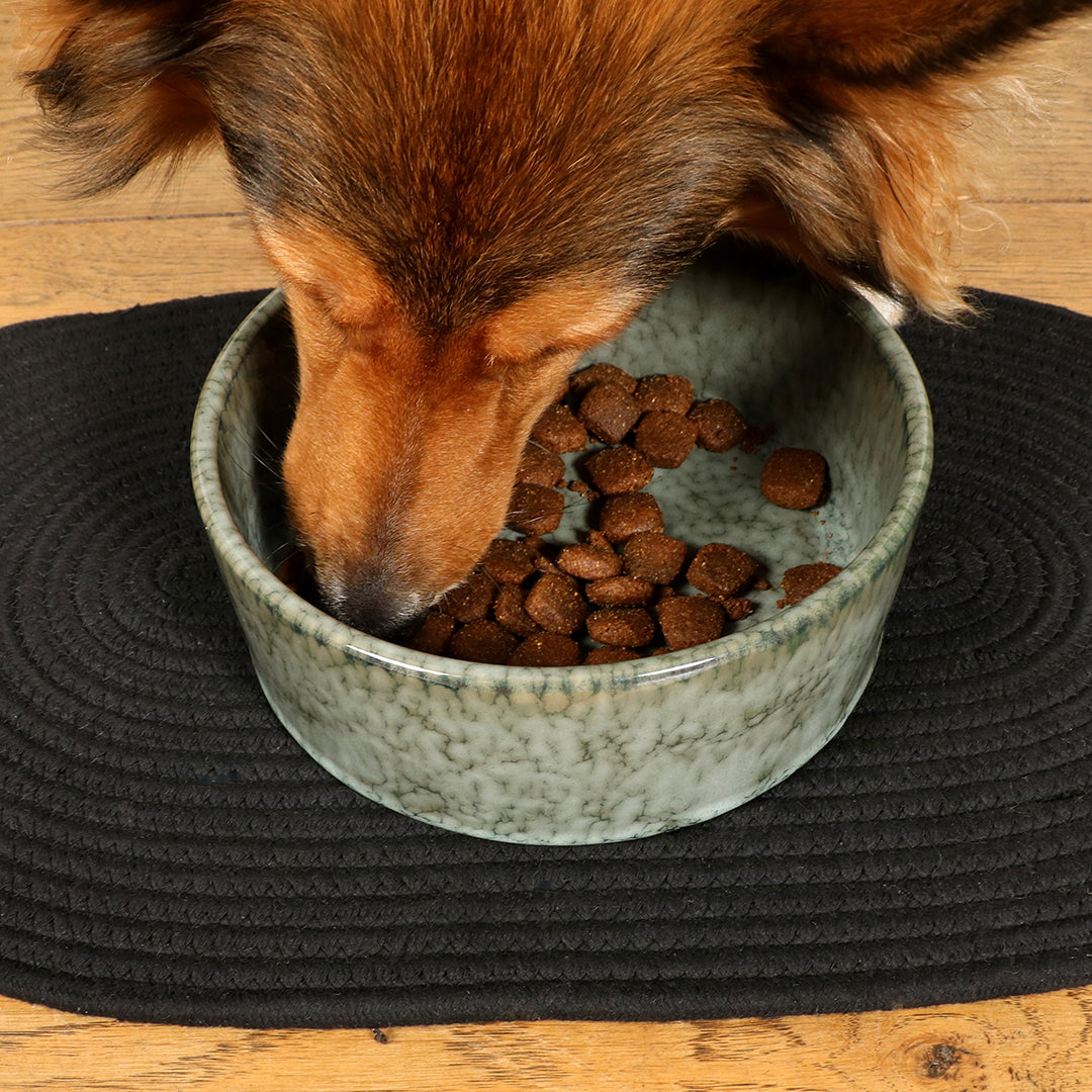 Jasper food and drink bowl
