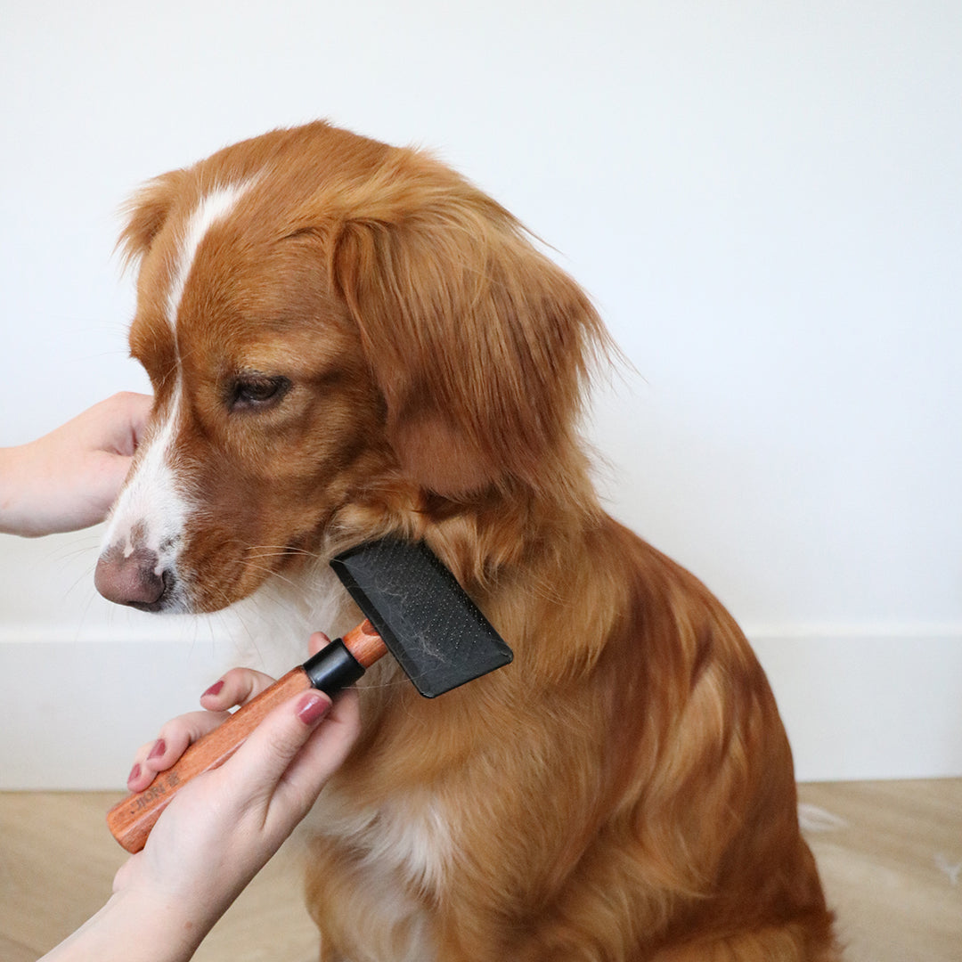 Japandi Slicker brush