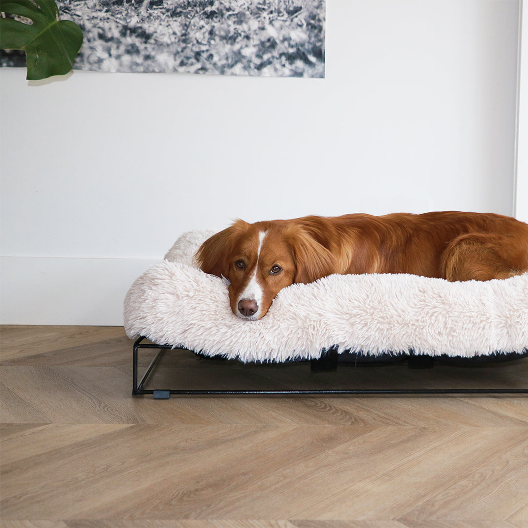 Amy kussen met frame