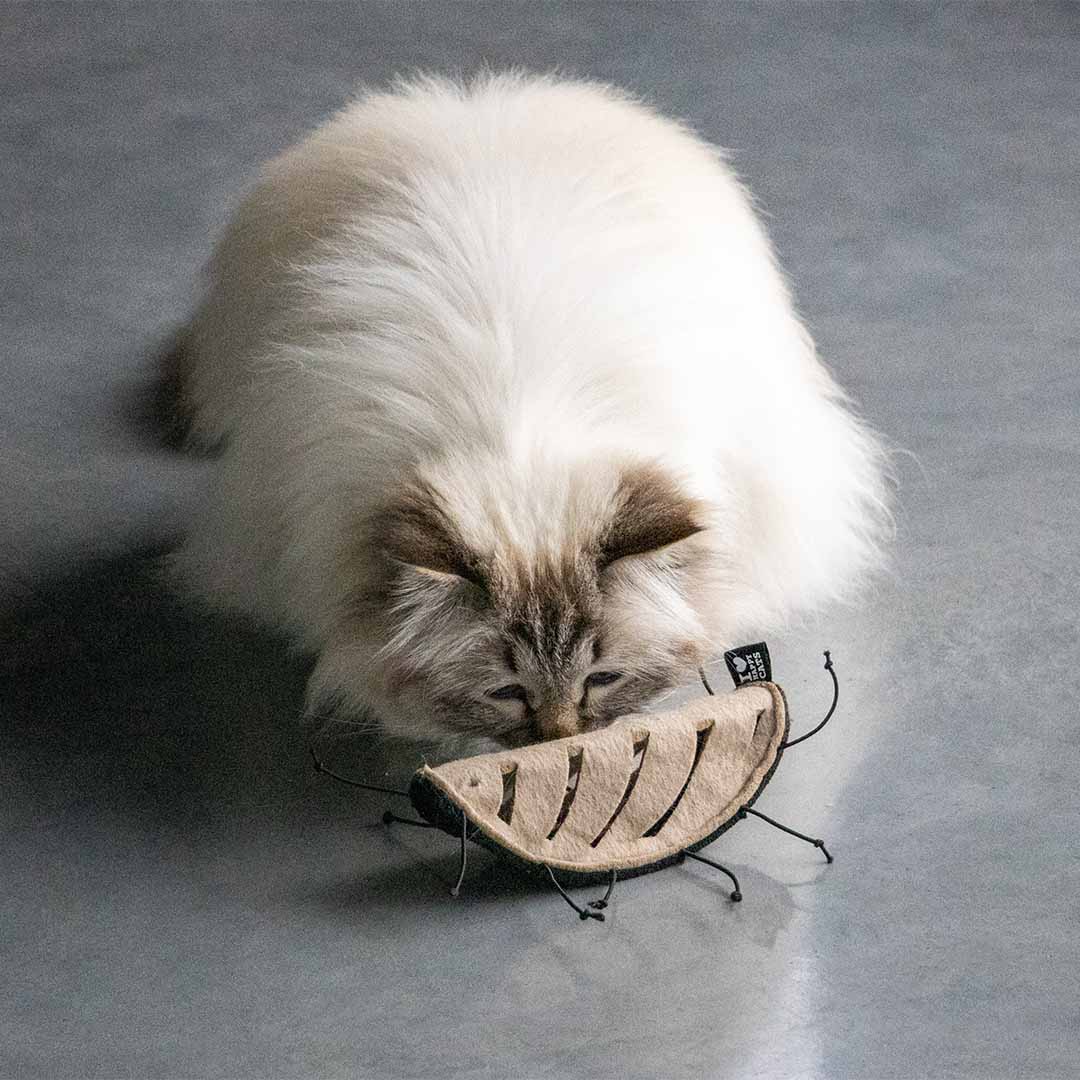 CHUCK - snackspeeltje