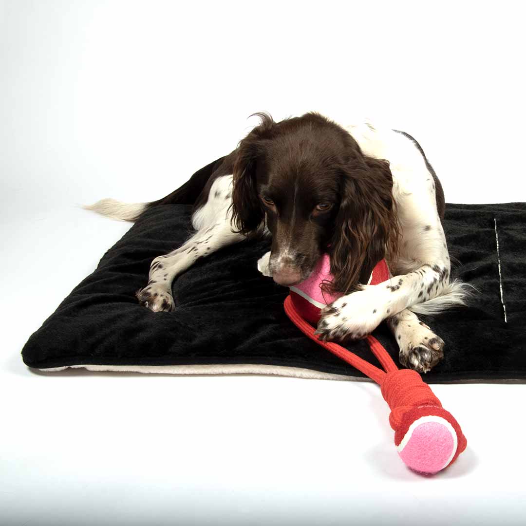 Ball with rope loop SWING ME