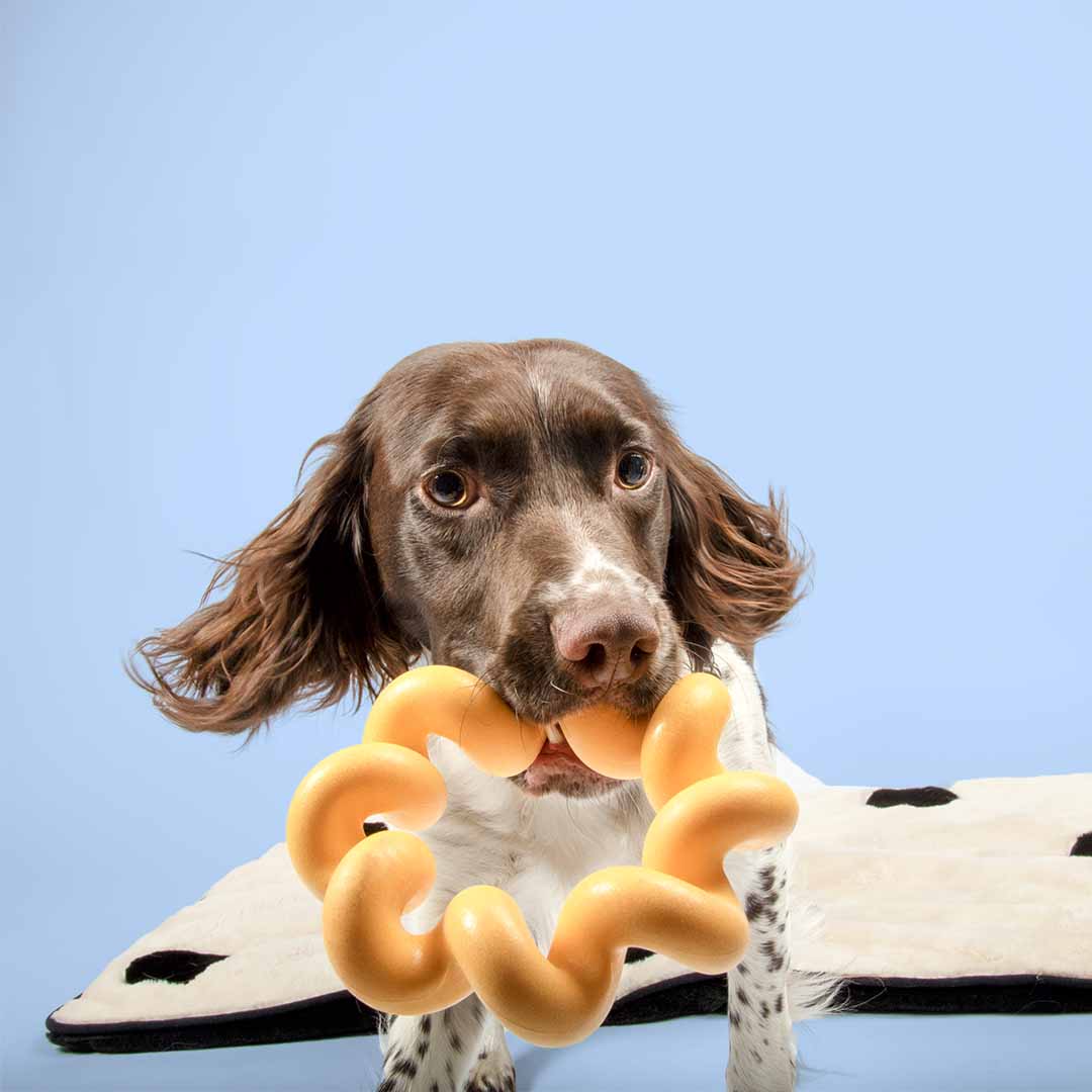 Hondenspeeltje SUNNY