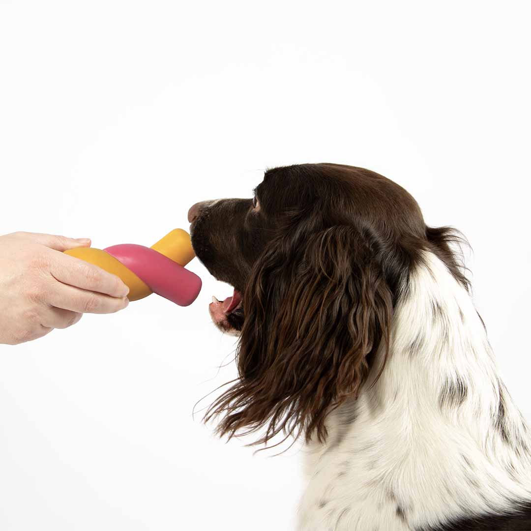 Hondenspeeltje TWISTED S'MORES