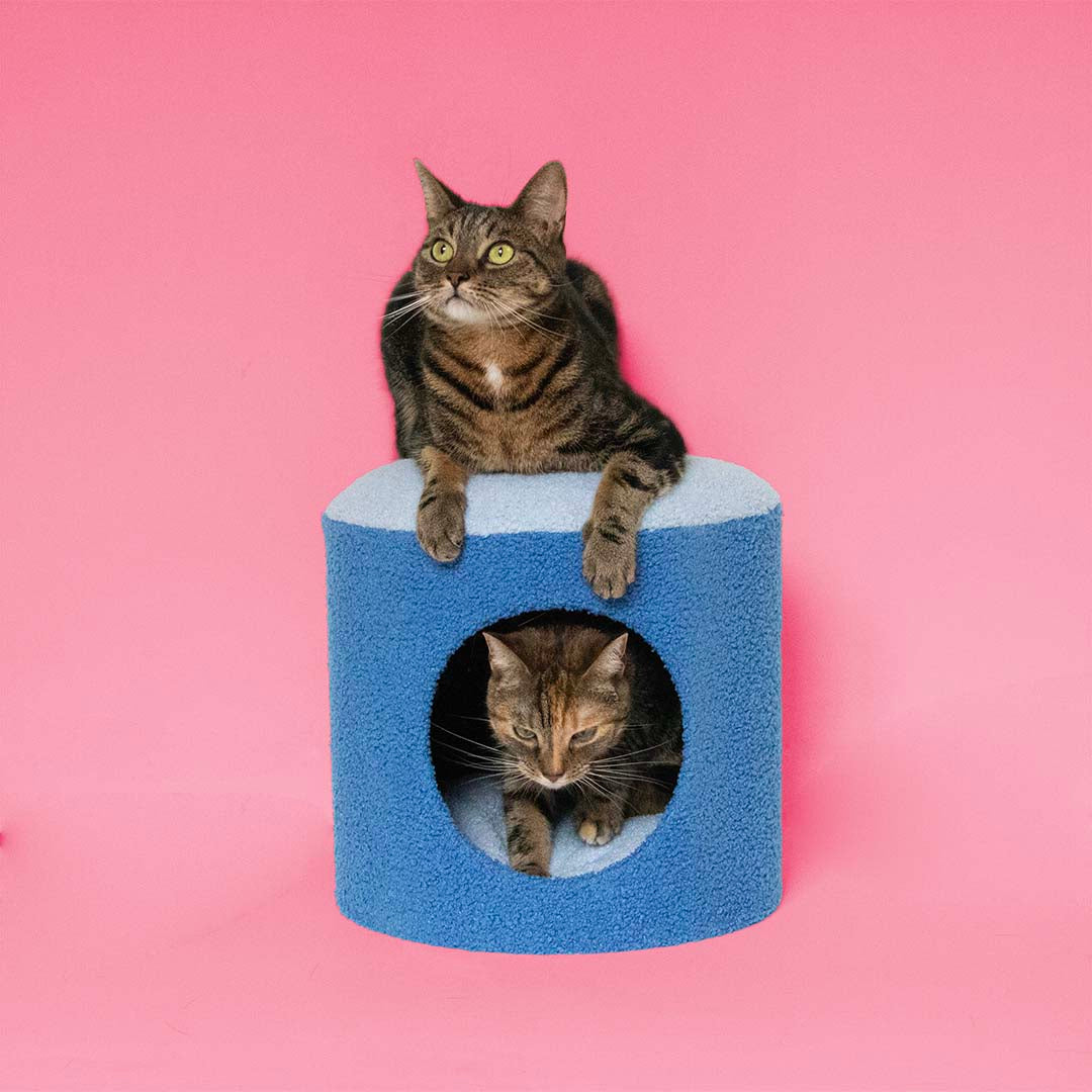 Kattenhuisje HAPPY HOUSE