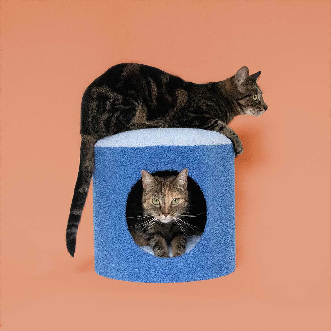 Kattenhuisje HAPPY HOUSE