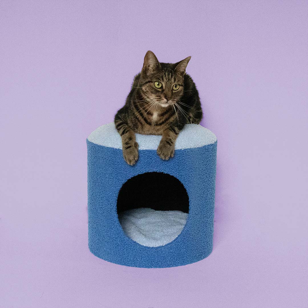 Kattenhuisje HAPPY HOUSE