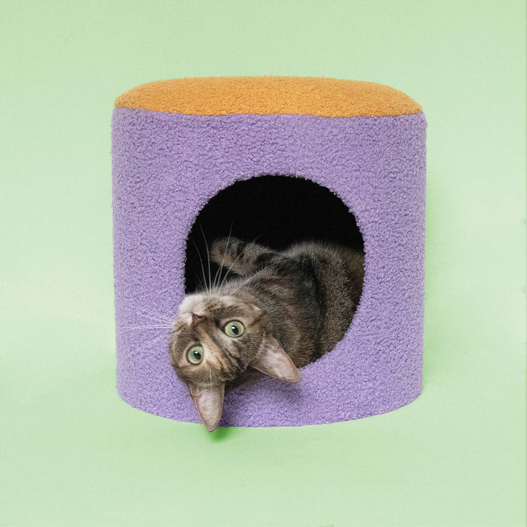 Kattenhuisje HAPPY HOUSE
