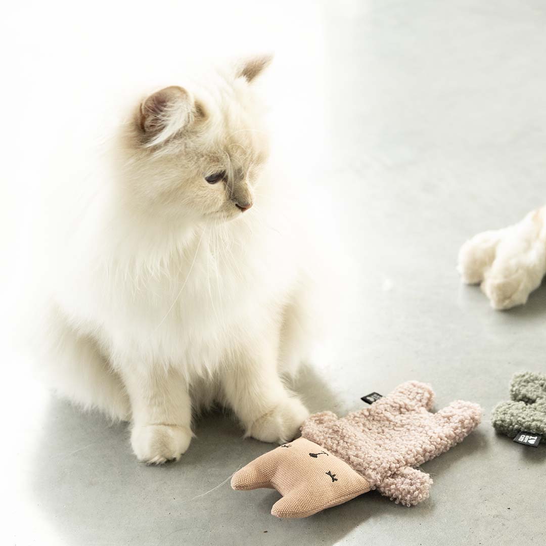 Kattenspeeltje ALFIE