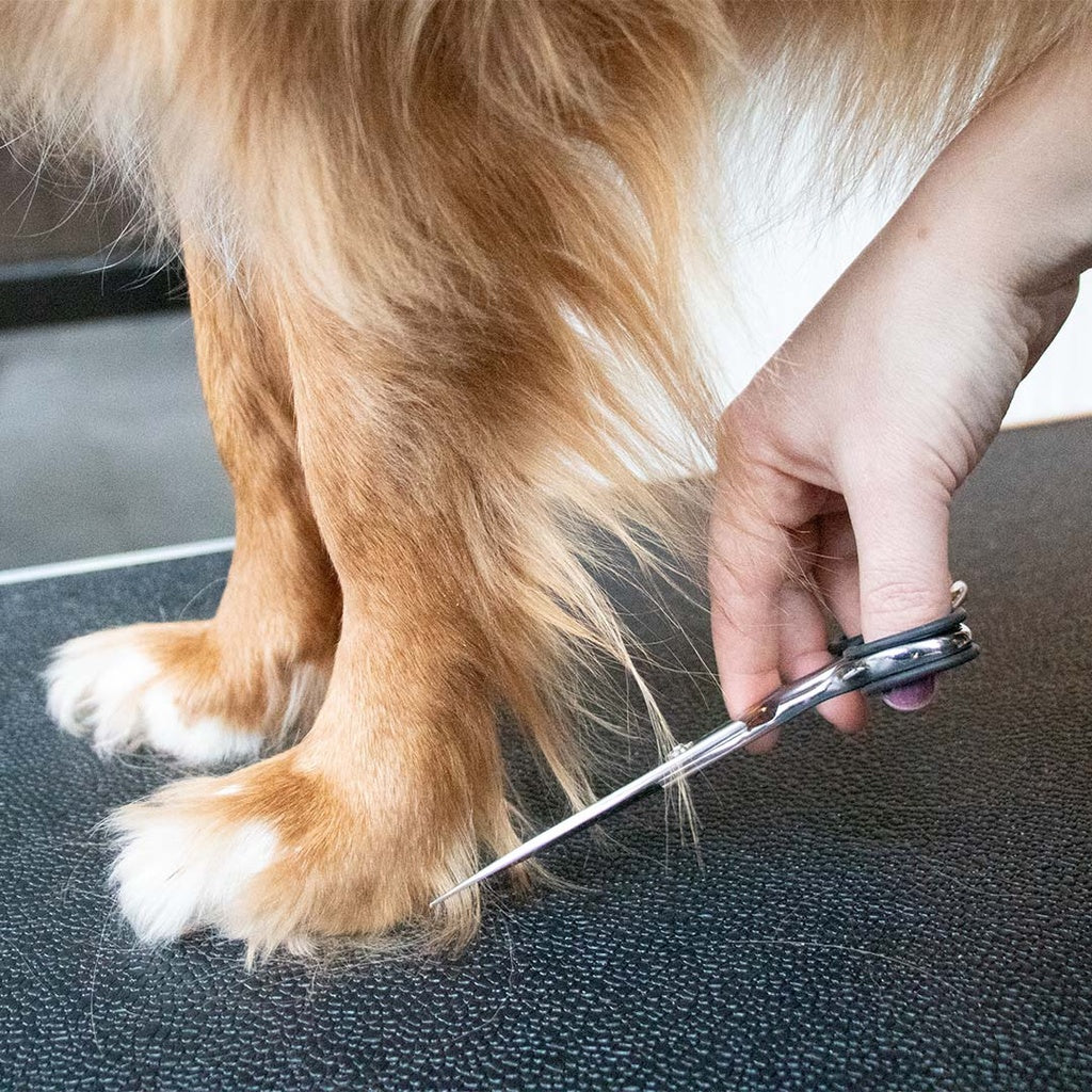 Japandi verzorgingsschaar