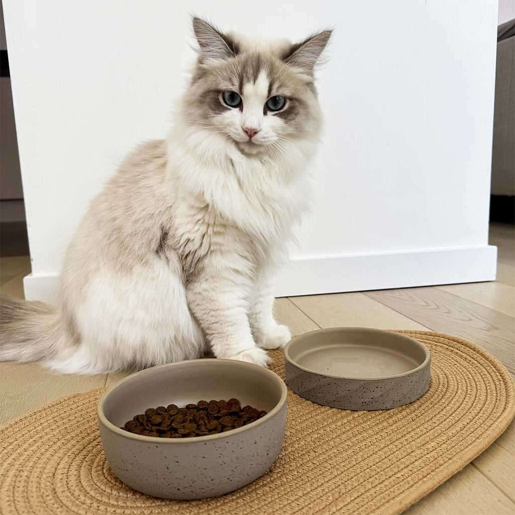 Eetkom Stone smooth dune