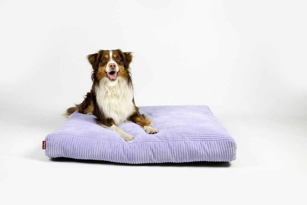 Hondenkussen COZY UNI