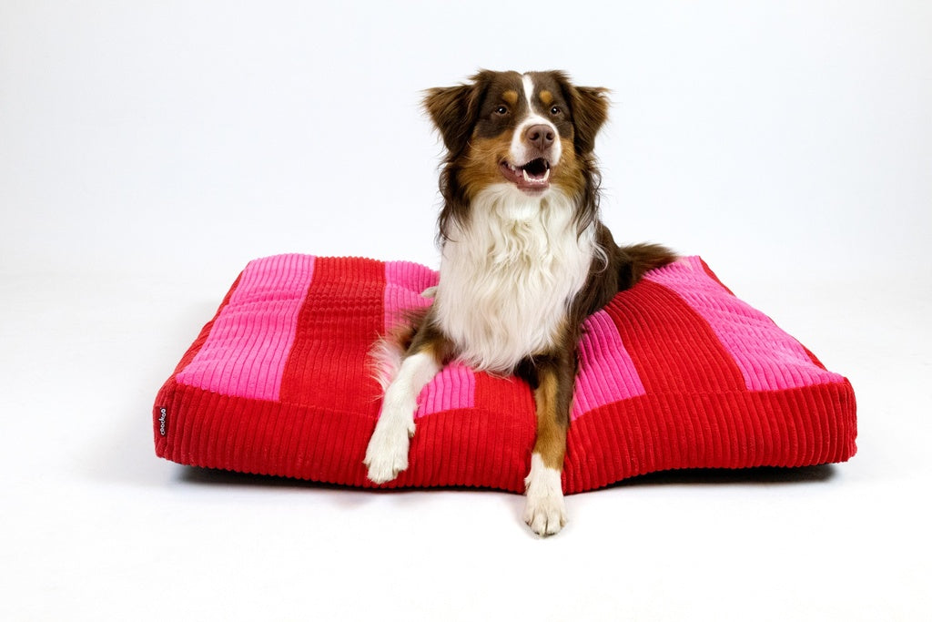 Hondenkussen COZY STRIPE