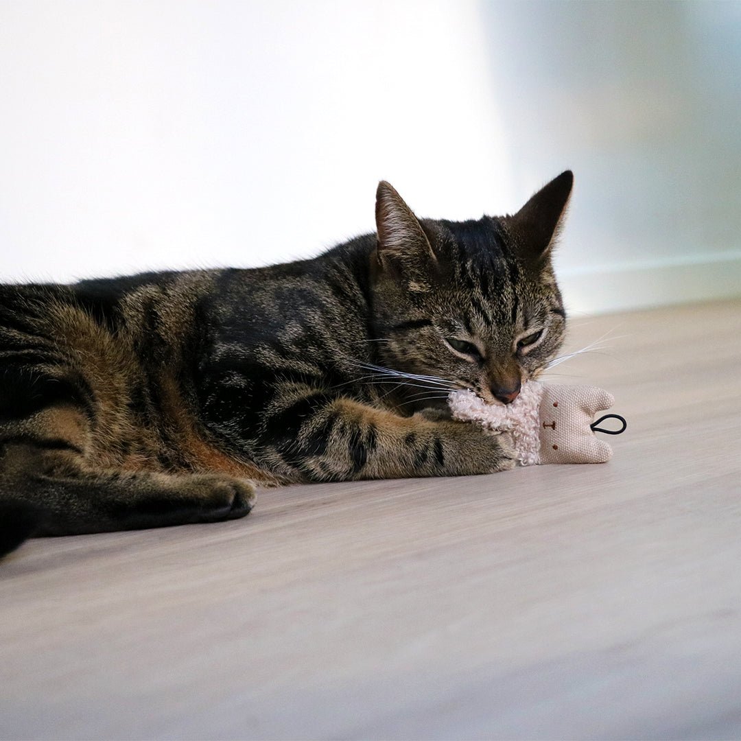 ALFIE Kattenspeeltjes Kattenspeelgoed D&D Home - I LOVE Happy Cats