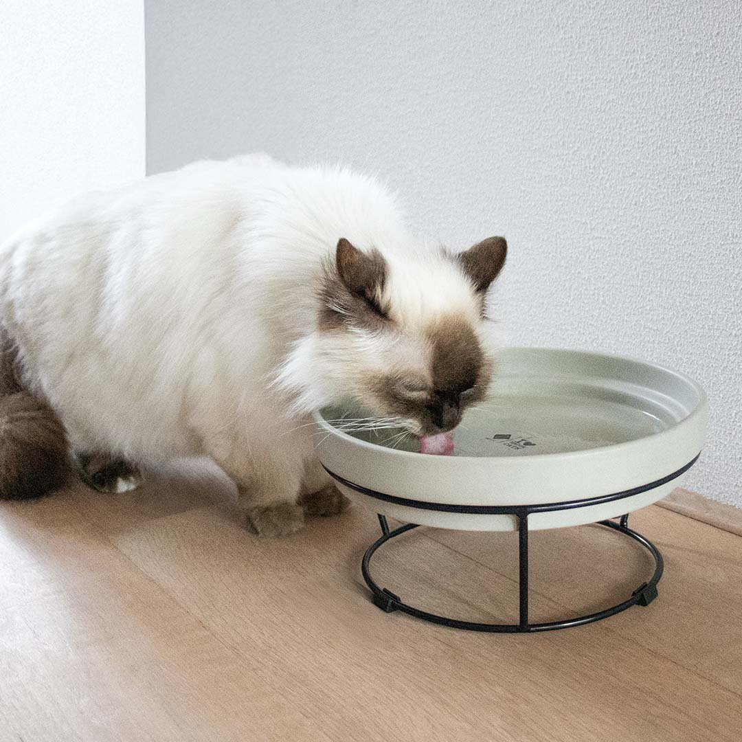 DASH - Schaalverhoger Accessoires D&D Home - I LOVE Happy Cats