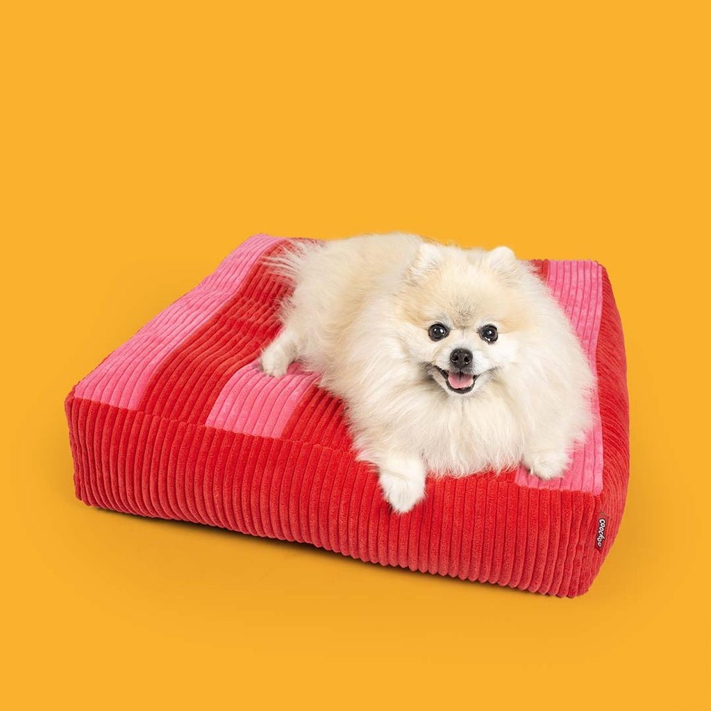 Hondenkussen COZY STRIPE Kussens Coockoo