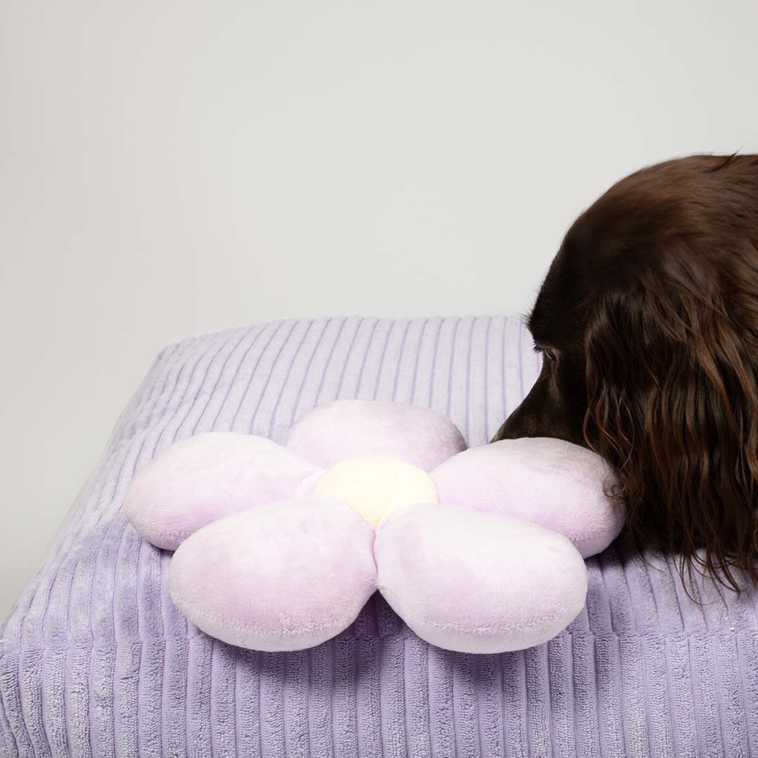 Hondenspeeltje FUN FLOWER Hondenspeelgoed Coockoo