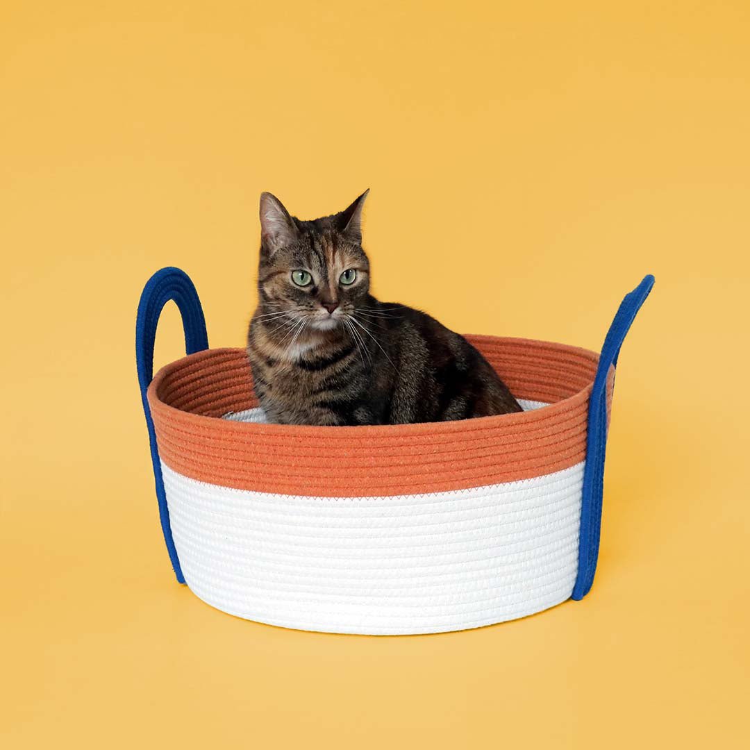 Kattenmand Binge Kattenmanden Coockoo
