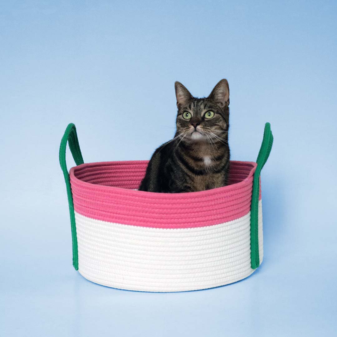 Kattenmand Binge Kattenmanden Coockoo