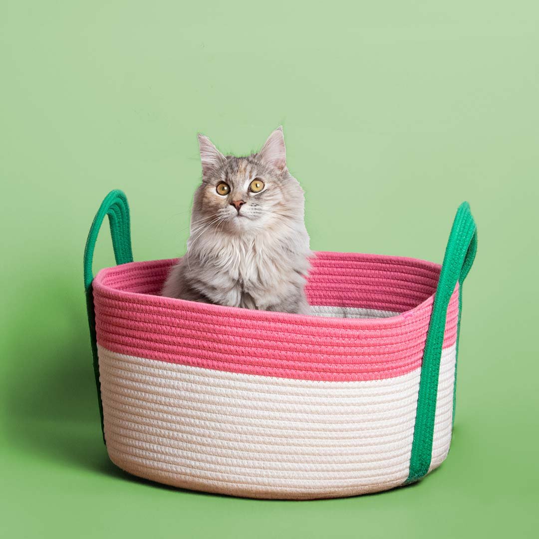 Kattenmand Binge Kattenmanden Coockoo