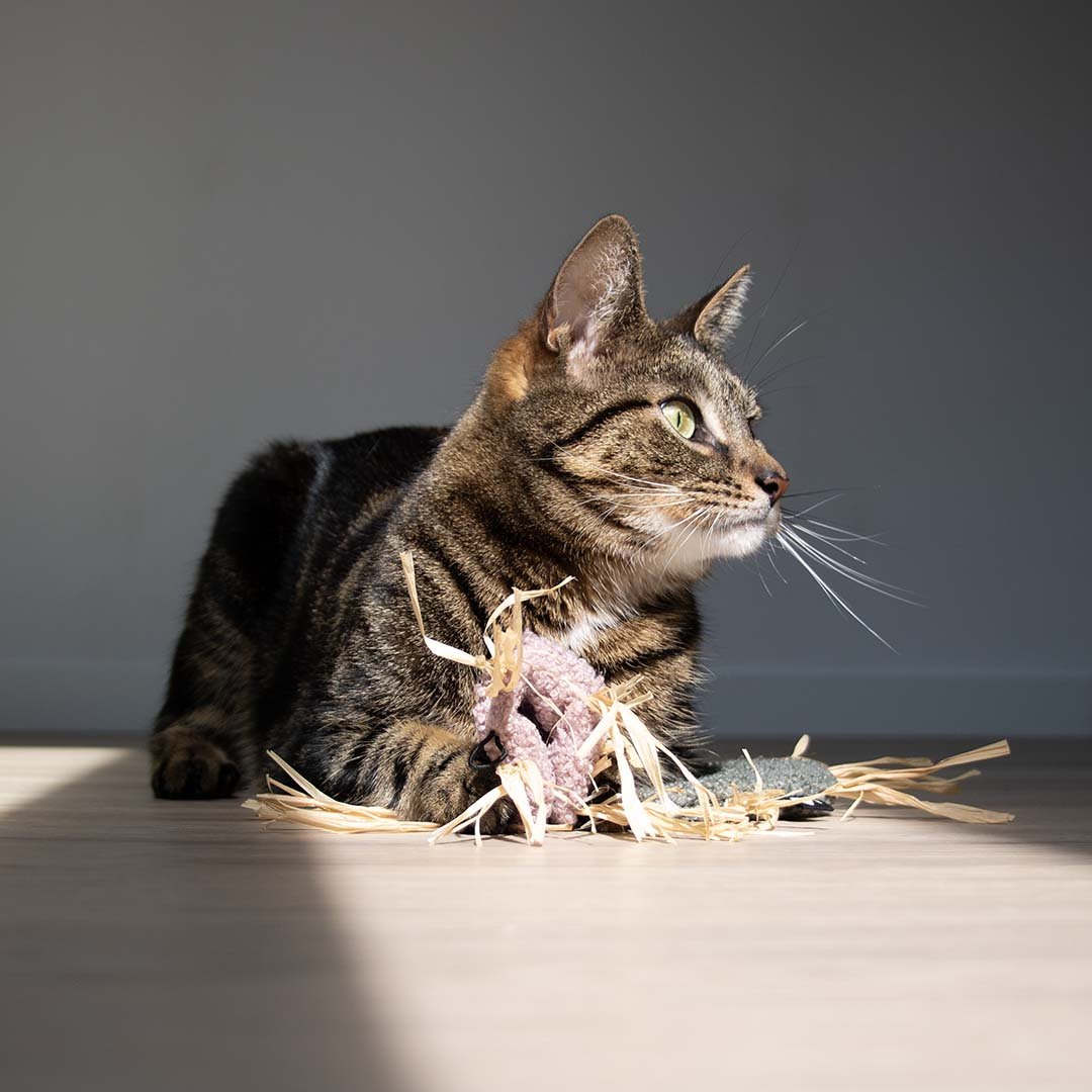 Kattenspeeltje MILLY Kattenspeelgoed D&D Home - I LOVE Happy Cats