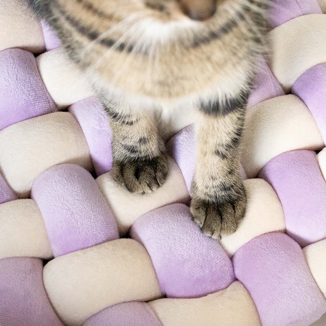 Kussen Velvet Vibe Kattenmanden Coockoo