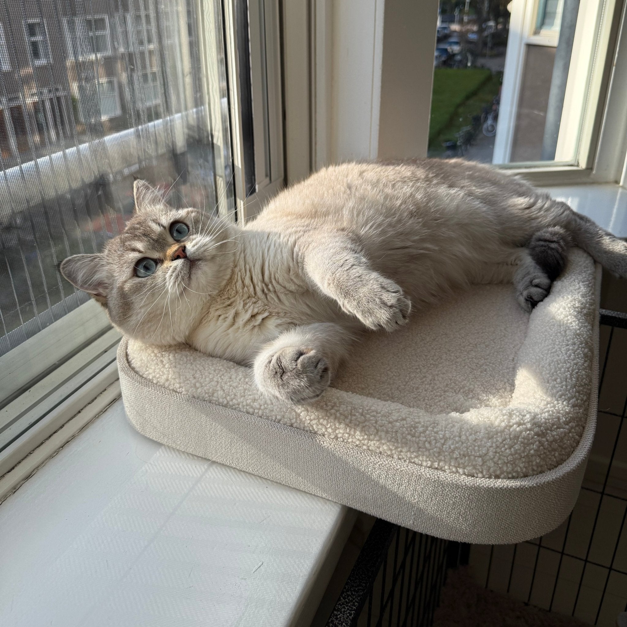 Kyo vensterbankmand Kattenmanden Ebi