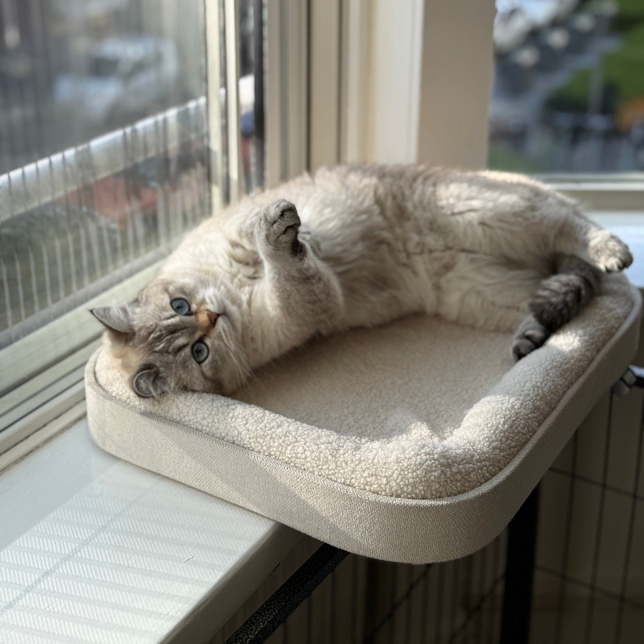 Kyo vensterbankmand Kattenmanden Ebi