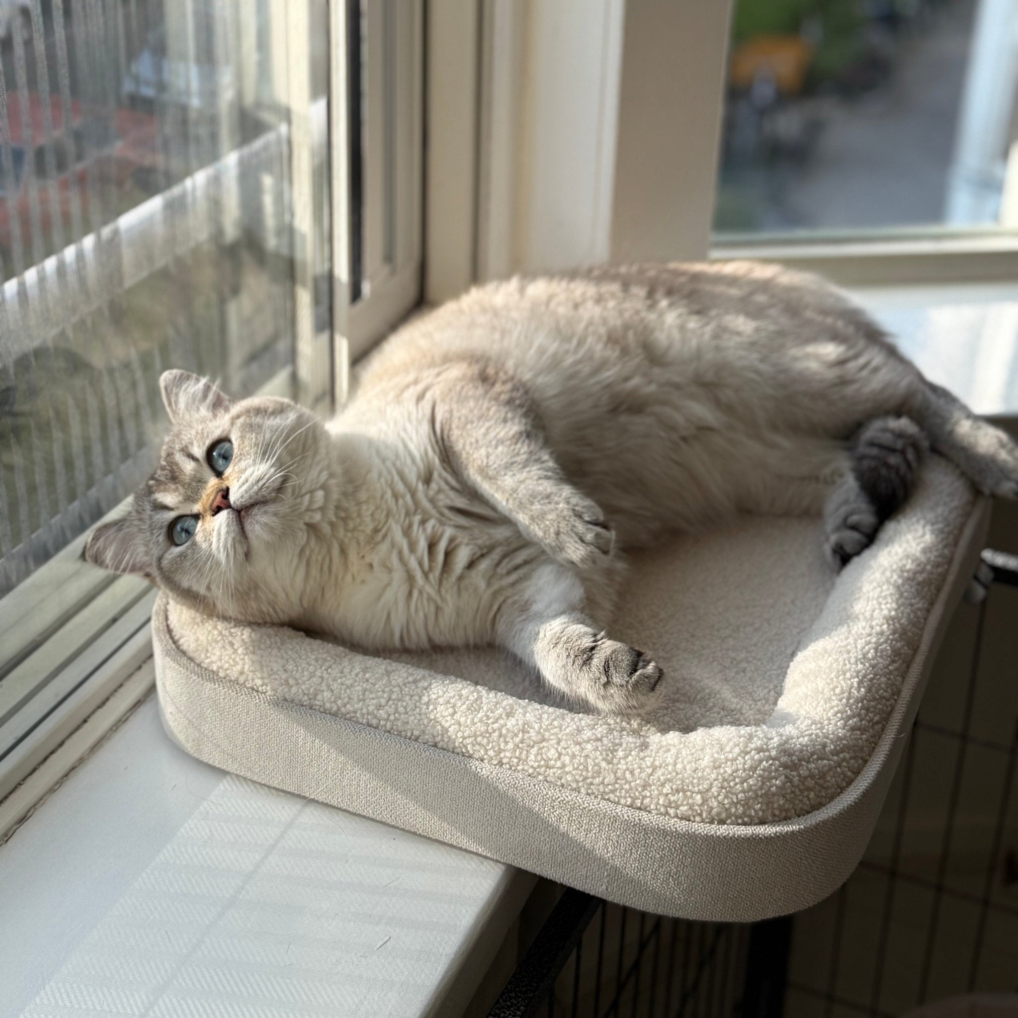 Kyo vensterbankmand Kattenmanden Ebi
