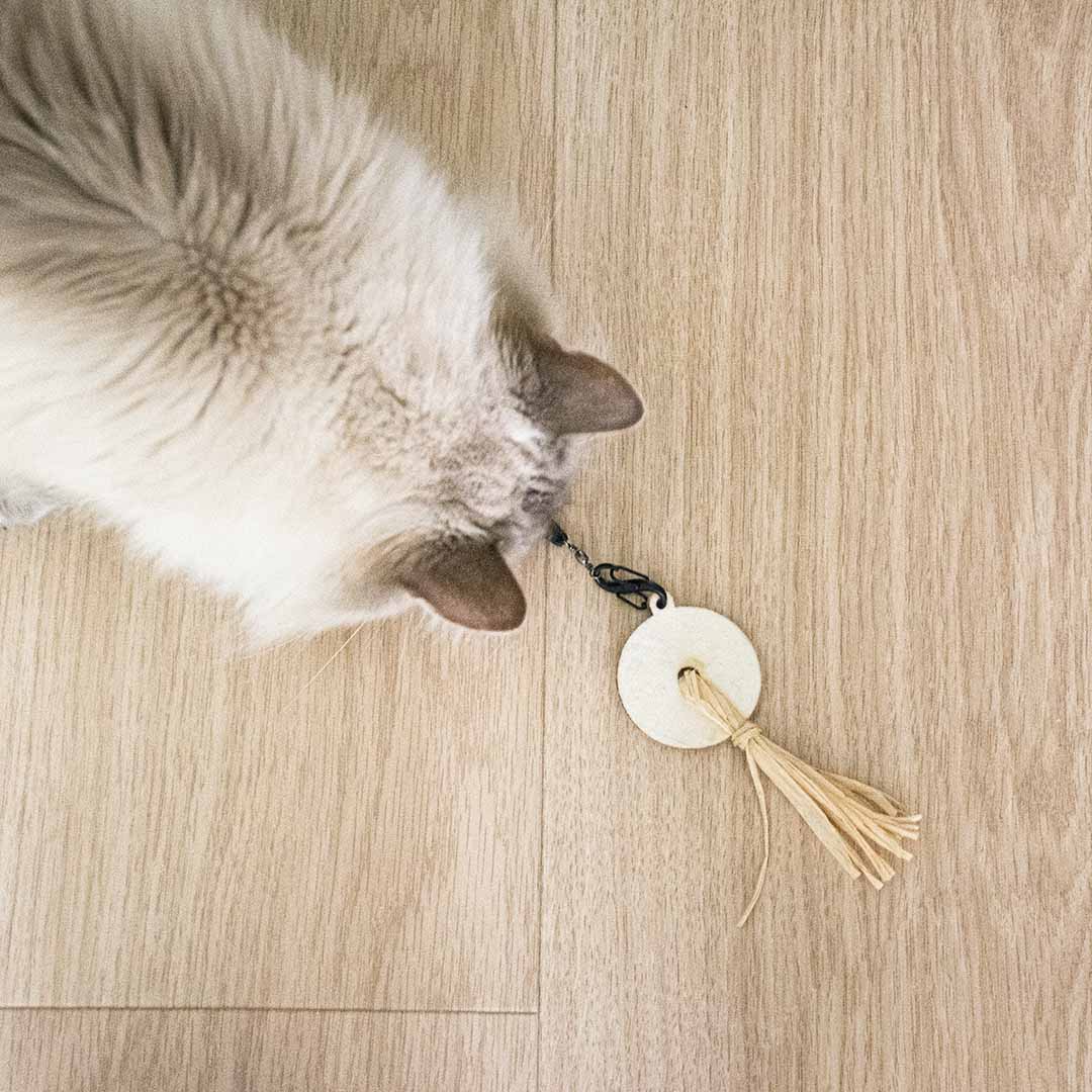 MIRA - ring met wol Kattenspeelgoed D&D Home - I LOVE Happy Cats