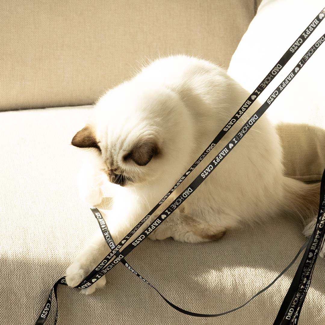 Navulling speelhengel CLAIRE Kattenspeelgoed D&D Home - I LOVE Happy Cats