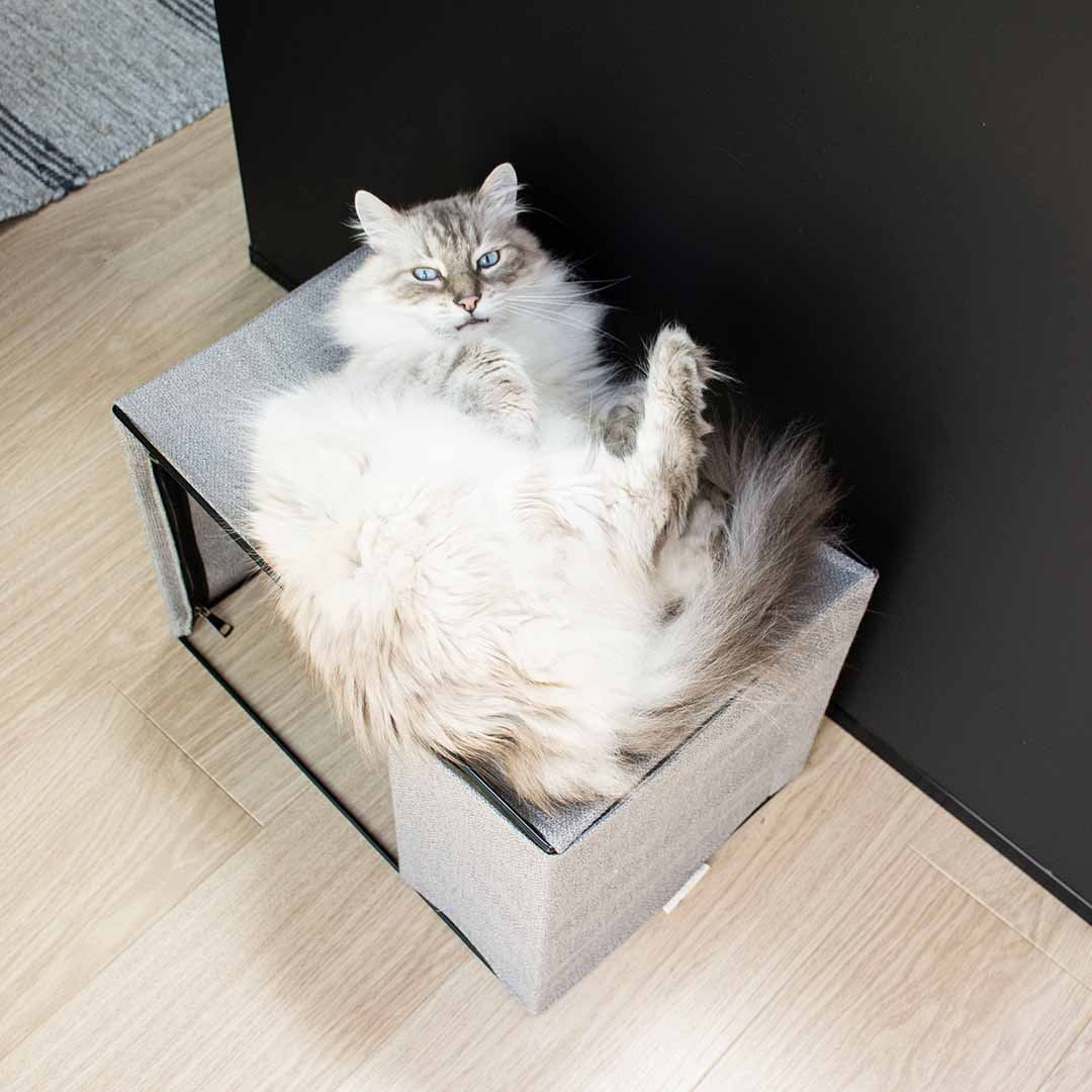ODILLIA - multifunctionele hangmat Kattenmanden D&D Home - I LOVE Happy Cats