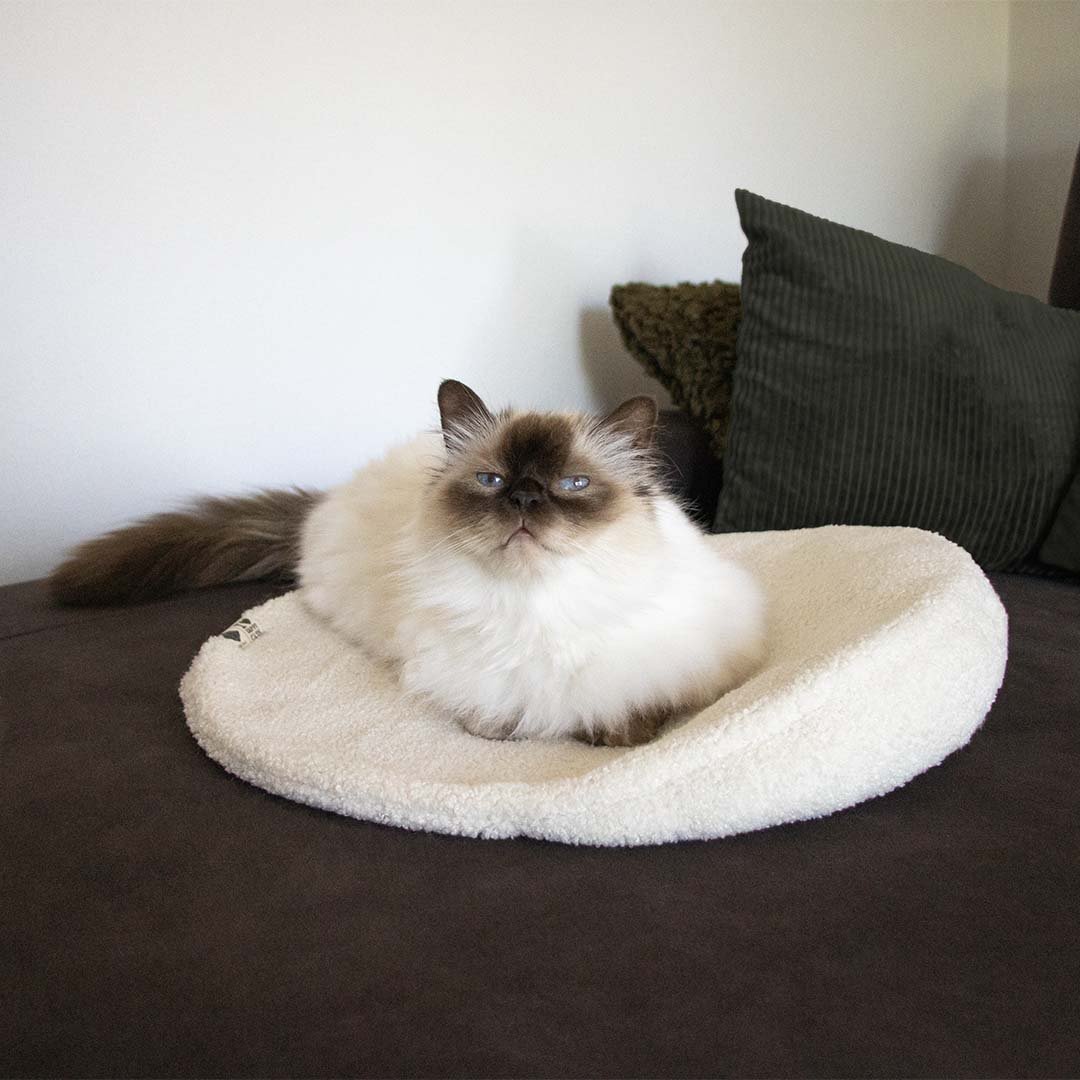 Plaidkussen - MANOU Kattenmanden D&D Home - I LOVE Happy Cats