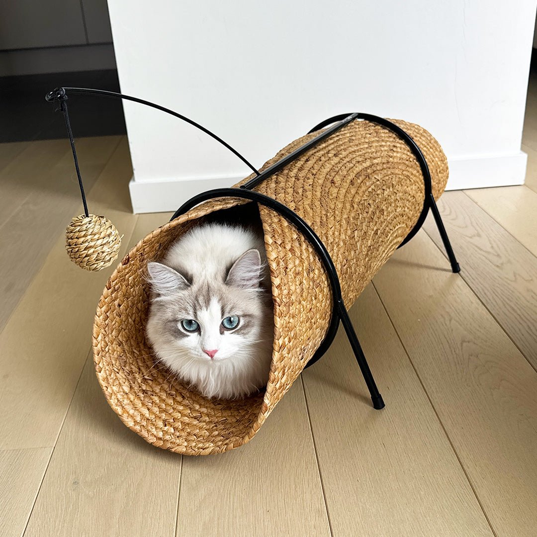 Reina katten speeltunnel Tunnel Design for pets