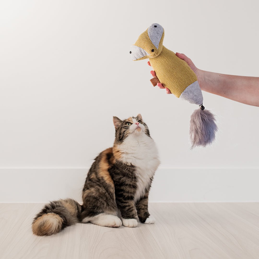 Rocco trappelkussen Kattenspeelgoed D&D Home