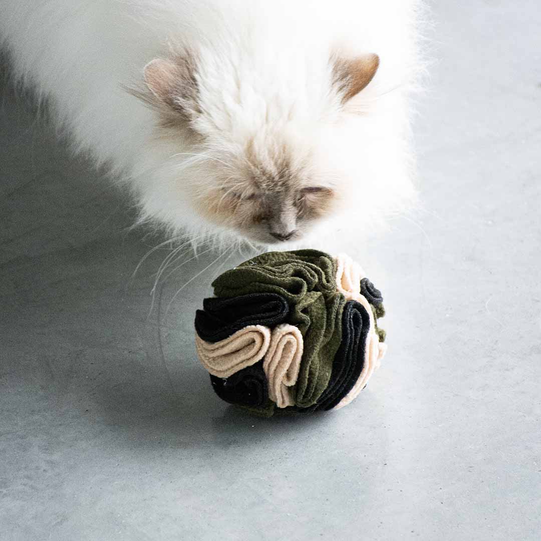 SIMON - snackbal Snackspeelgoed D&D Home - I LOVE Happy Cats