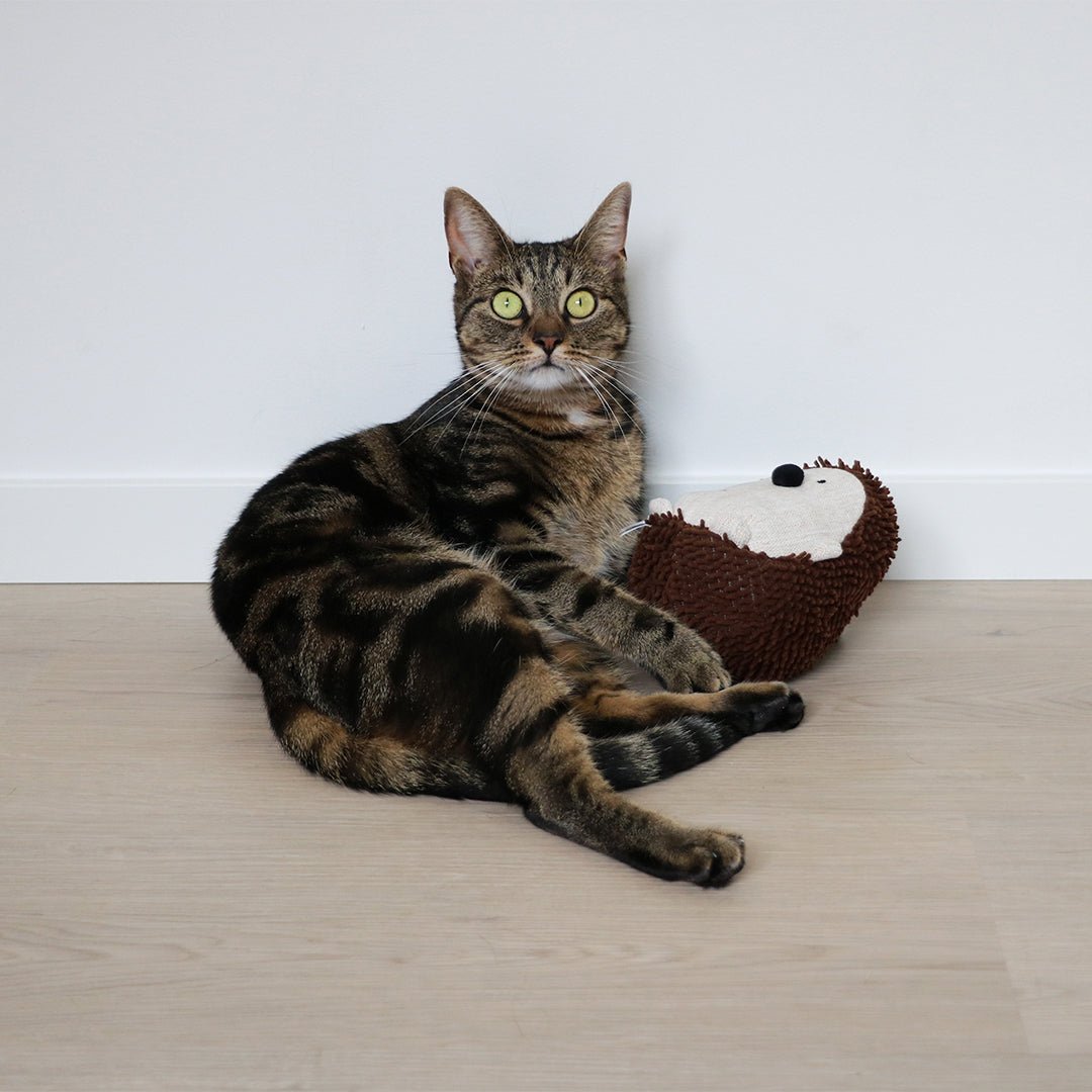 Trappelkussen Spike Kattenspeelgoed D&D Home
