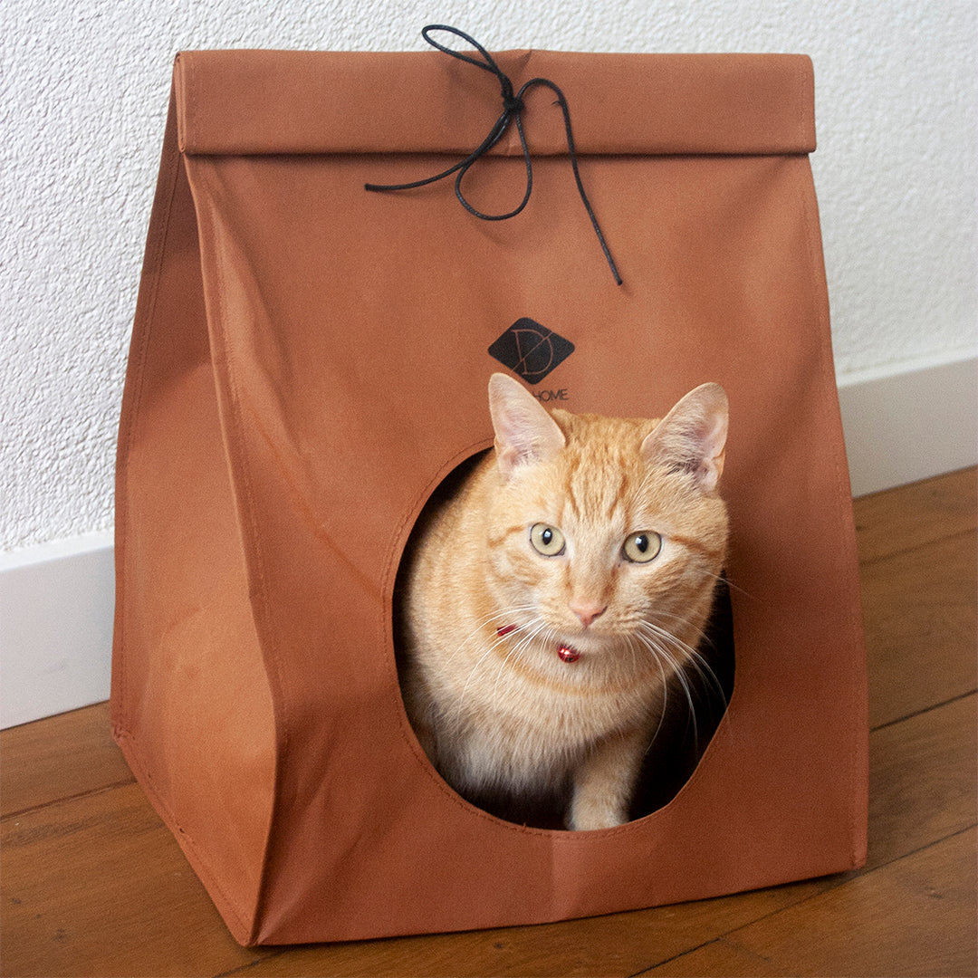 oscar-kattenhuis