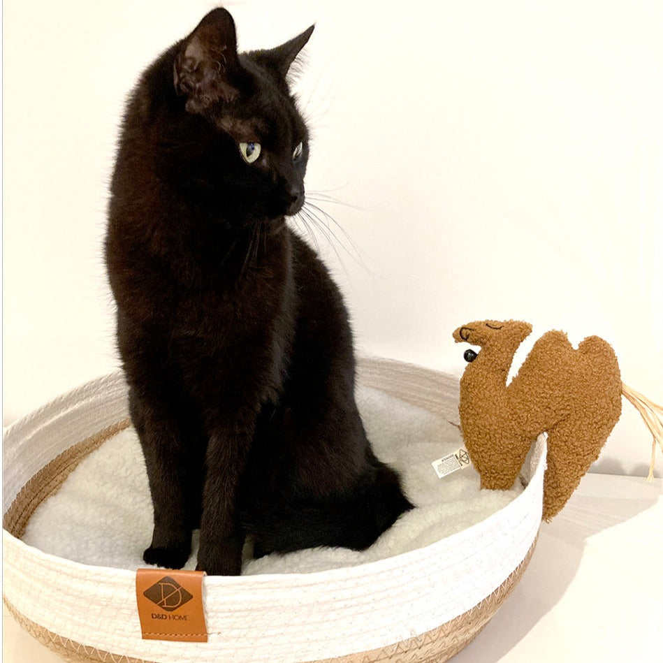 Latif catnip trappelkussen