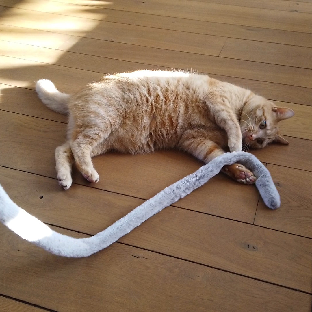 lovi-kattenhengel