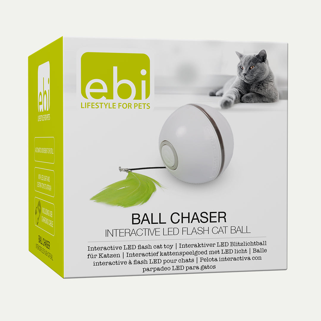 ball-chaser-kattenspeeltje