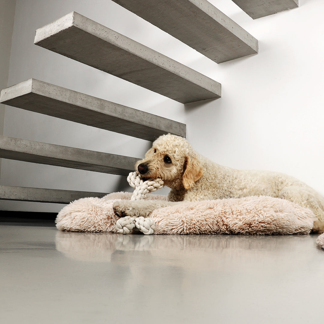 Dente katoentouw - beige