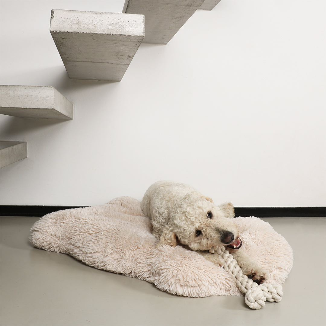 Dente katoentouw - beige