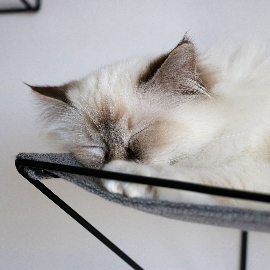 OLIVER_Bed_en_radiatorhangmat