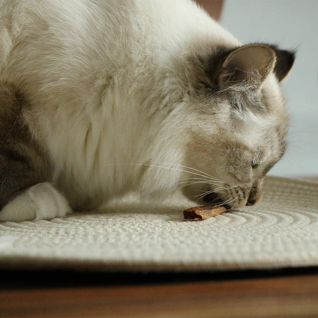 I_LOVE_Happy_Cat_Snack_Kippen_konijnensticks