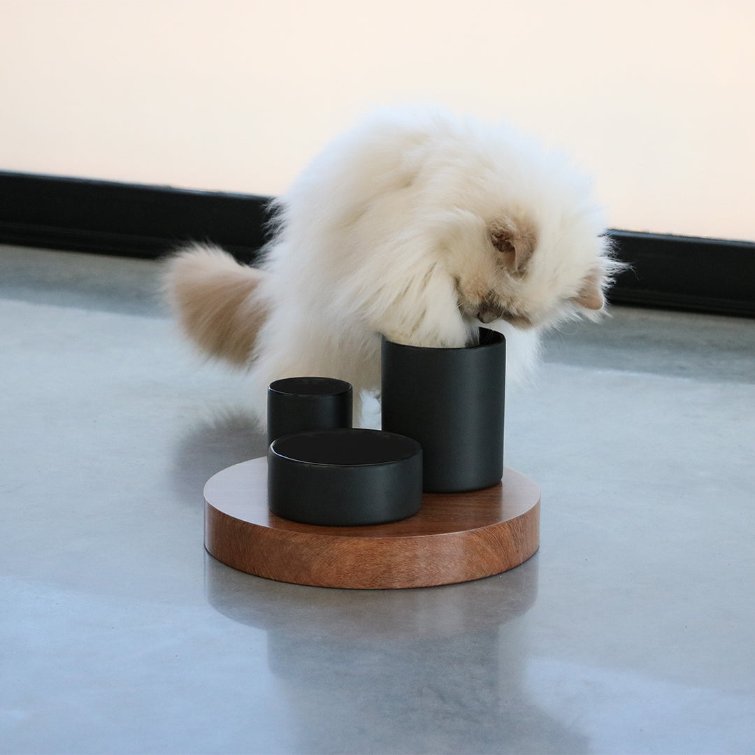 IGGY_Verrijkingskom_met_3_niveaus