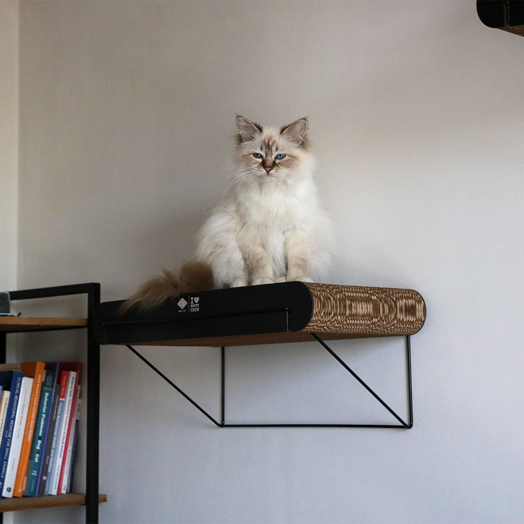 DAVID_Kartonnen_wandplank